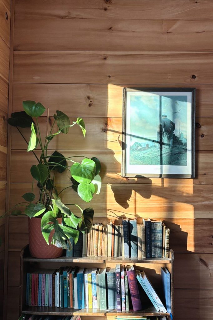 Items found thrifting- bookshelf with books, large plant and wall hanging with light streaming in